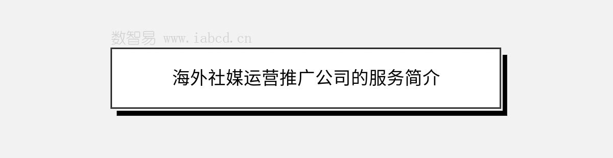 海外社媒运营推广公司的服务简介