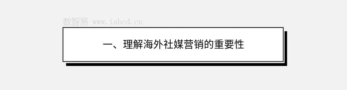 一、理解海外社媒营销的重要性