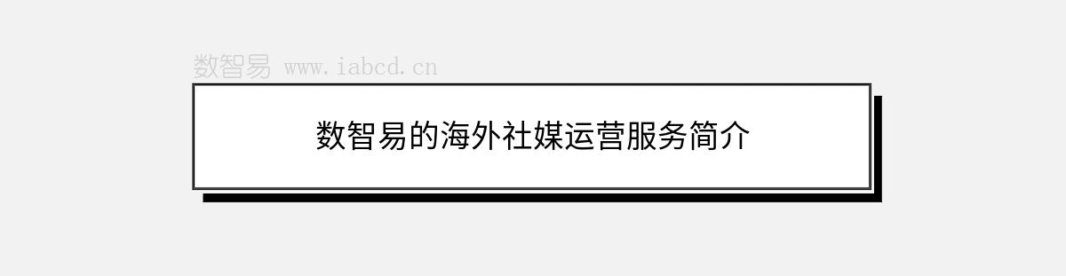 数智易的海外社媒运营服务简介