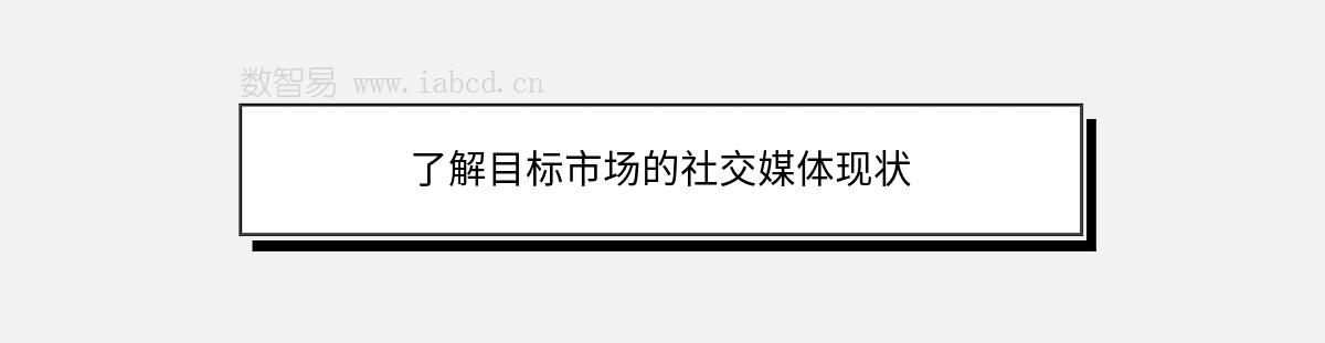 了解目标市场的社交媒体现状