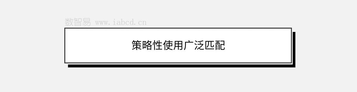 策略性使用广泛匹配